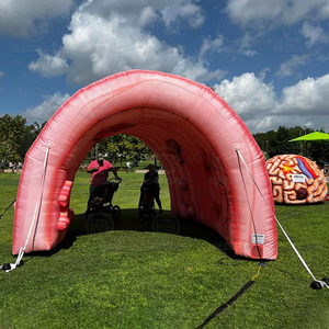 Tunnel de Colon Gonflable Géant pour Expositions Médicales Extérieures, Publicité, Grand Modèle de Colon Humain Gonflable pour Expositions Médicales - Product Image 2