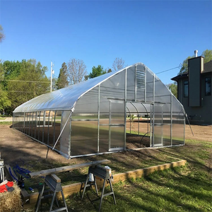 Invernadero Grande de un Solo Vano para Cultivo de Hongos, Estructura Galvanizada, Lámina de PE, Sistema de Regulación de Temperatura, Humedad y CO2 - Product Image 1