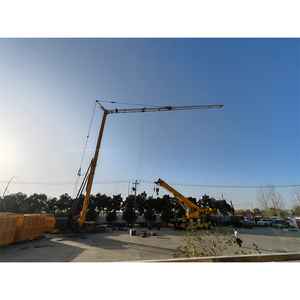 Tự dựng cẩu tháp xjcm cung cấp cung cấp Vàng xây dựng cẩu tháp nhanh kéo tốc độ <span class=keywords><strong>3</strong></span> tấn giá của cần cẩu tháp - Product Image 4