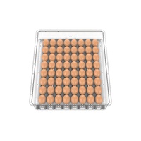 Incubateur automatique pour 64 œufs, incubateur pour poulets, oiseaux, oies, canards, cailles