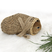 Jouet à mâcher en forme de botte pour lapins et cochons d'Inde – Aliment d'enrichissement naturel contre l'ennui pour petits animaux – Herbe de mer à mâcher