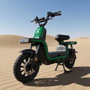 Motocicleta de Reparto (Touring) con Certificación EEC para Smart & Operations, Motor de 3000W, Capacidad de Carga de 250kg, Scooter T3 Ele de 1500w - Product Image 1