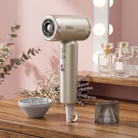 Sèche-cheveux professionnel portable YX-V60 Mini haute vitesse 1200W avec moteur sans balais, ions négatifs, double tension 100-240V