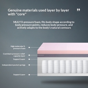 Cama Inteligente Dream Factory Personalizada, Venta Directa, Cama Eléctrica con Altura Ajustable y Colchón de Espuma Viscoelástica - Product Image 2