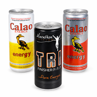 Bennone OEM/ODM Energy Drink 250ml/300ml/330ml Zuckerfrei Fettarm Getränk PET/Dosen-Verpackung Private Label Großhandelslieferung