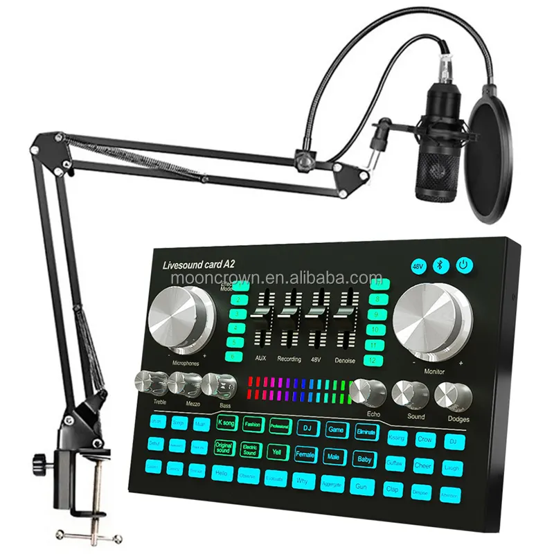 bm800 mic USB A2 Sound Card Set the Professional studio recording Podcasting S1 SoundCard condenser microphone for mobile phone