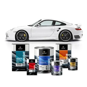 Innocolor Professional Powder Automotive Clear Coat