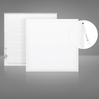 CE monté en surface RoHS 60x60 30x120 3000-6500k 220-240v Panneau lumineux Led plat commercial avec kit d'urgence