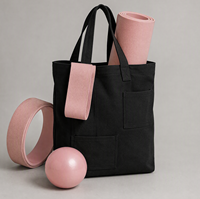 Perlengkapan Yoga Grosir OEM Kustom Set Bola Pilates Pita Resistensi Rajut Matras TPE Roda Yoga Tas Kanvas ABS Tahan Lama Ramah Lingkungan