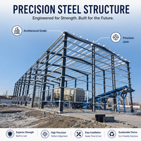 Edificio de Estructura de Acero Resistente Personalizado, Almacén Industrial Prefabricado, Arena de Gran Escala, Construcción de Estructura de Acero para Fábrica
