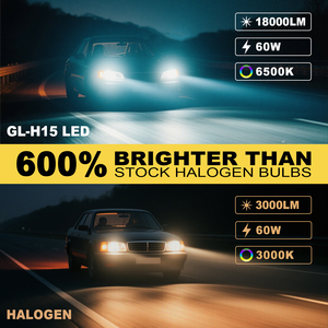 Remplacement G-VIEW compact d'ampoule de phare de <span class=keywords><strong>LED</strong></span> GL-H15 60W 18000lm avec des composants de haute fiabilité CE <span class=keywords><strong>ROHS</strong></span> FCC conforme pour la voiture - Product Image 4