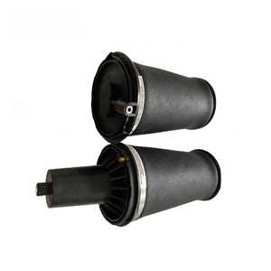 Nuevo Balón de Aire Delantero Izquierdo/Derecho para Land Range P38A P38 1995-2004 REB101740 - Product Image 2