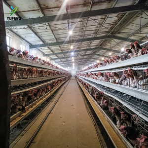 Jaula <span class=keywords><strong>de</strong></span> 160 capas para gallinas ponedoras, jaulas tipo A para pollos <span class=keywords><strong>de</strong></span> engorde, jaula para gallinas ponedoras, gallineros para cría <span class=keywords><strong>de</strong></span> gallos y gallinas. - Product Image 6