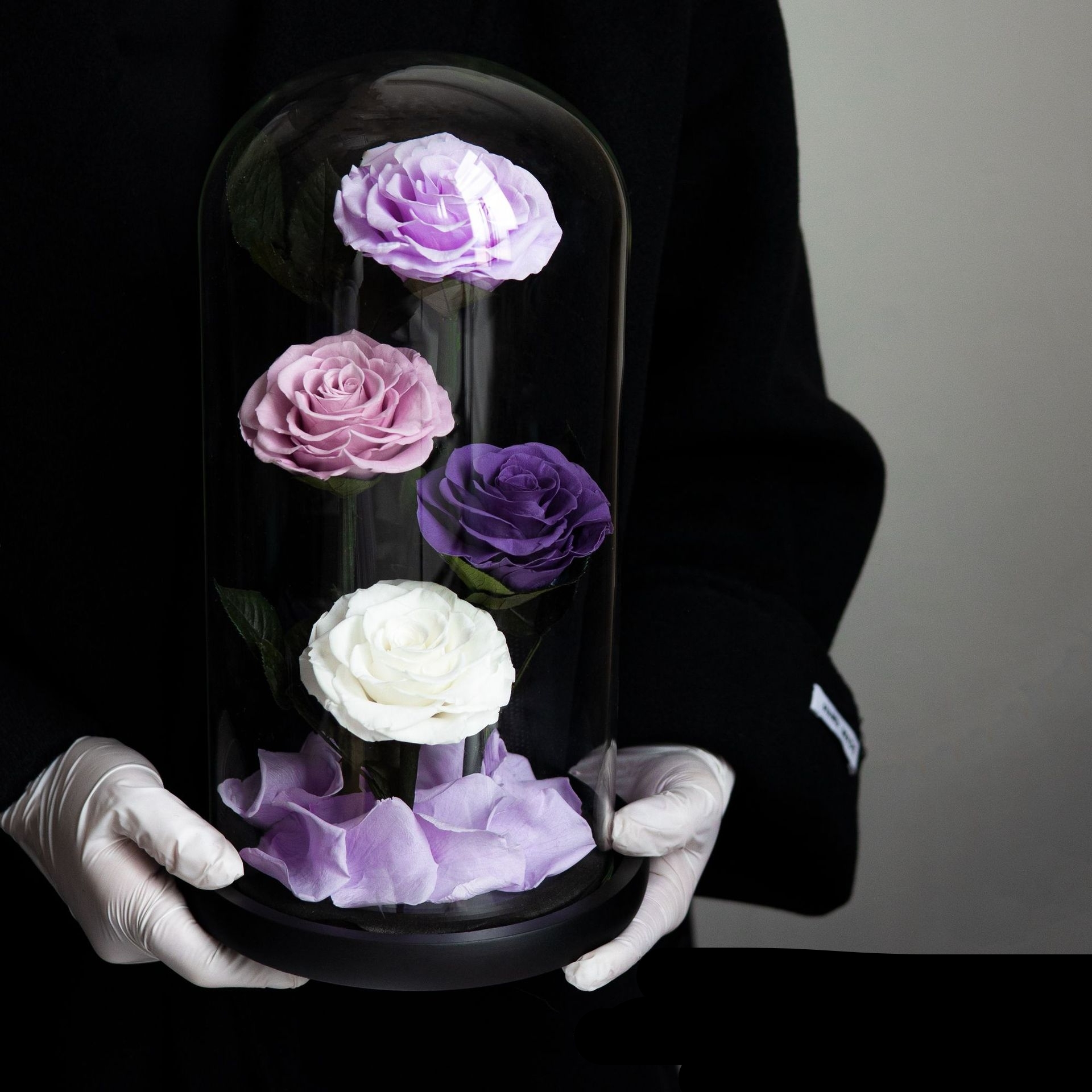 Pourpre (15*15*30cm)