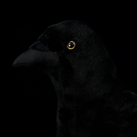 Peluche réaliste de corbeau américain, jouet en peluche doux pour enfants et amoureux des oiseaux