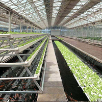 Jardinière hydroponique NFT en PVC écologique à drainage direct usine avec trous de drainage pour systèmes hydroponiques domestiques et de jardin, durée de vie de 4 ans
