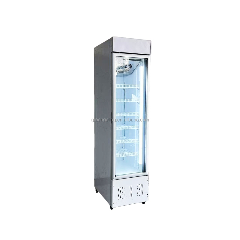 Freezer Standing Glass Door Meat Ice