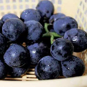 IQFオーガニックフリーズ乾燥ブラックベリーフレッシュで無糖バルク卸売り - Product Image 6