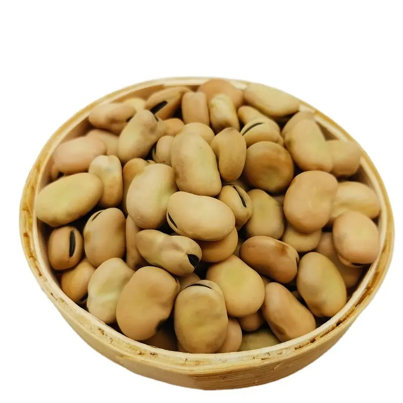 Mới Crop Khô Fava Bean/Faba Bean/Đậu Rộng Trong Vỏ Cho Cá Ăn, Thức Ăn Cho Cá