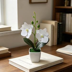 Orquídeas Phalaenopsis Artificiales Paulon de 19 Pulgadas en Plástico Realistas para Decoración de Bodas y Hogar, Plantas en Maceta - Product Image 4