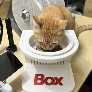 Support <span class=keywords><strong>de</strong></span> bol pour animaux <span class=keywords><strong>de</strong></span> compagnie en forme <span class=keywords><strong>de</strong></span> mecha imprimé en 3D, hauteur réglable, style science-fiction, logo personnalisé, PLA pour chat, FDM PETG PLA - Product Image 1