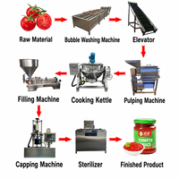Automatische Tomatenpuree Productielijn 500-1000kg/u Ketchup Chilisaus Fruitpuree Compleet CE-gecertificeerd