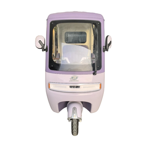 Juejue Purple HQ-Lushang Mini Tricycle Fermé pour Enfants - Courses et Petits Trajets, Autonomie 30 km, Vitesse 30 km/h, Idéal pour la Ville - Product Image 2