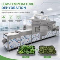 Séchoir à micro-ondes intelligent PLC pour le séchage et la stérilisation des feuilles vertes, des céréales, des fruits, des légumes, des légumes-feuilles et des noix