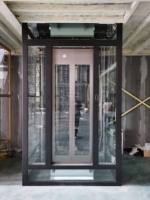 Petit ascenseur résidentiel pour l'installation dans une villa