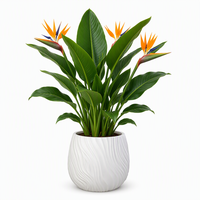 Grands pots de plantes en plastique colorés, créatifs, mignons, durables et légers avec trou de drainage pour une utilisation extérieure, pour la croissance des plantes et la décoration de la maison
