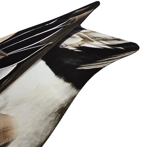 Señuelo de Caza de Patos con Serigrafía UV Ecológico y Reciclable, Silueta de <span class=keywords><strong>Pato</strong></span> - Product Image 4