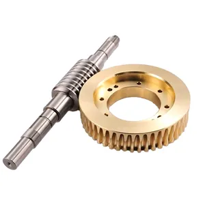 Custom brass worm gear and worm