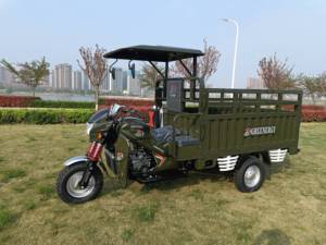 Triciclo de servicio pesado de 250cc con <span class=keywords><strong>3</strong></span> ruedas, cuerpo abierto, eléctrico, motorizado, de pasajeros y carga, gran oferta en China - Product Image 5