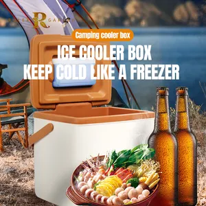 Picknick Lagerung Camping Eis kiste Retro Mini Lunchbox Fisch Insulin medizinische kleine Kühlbox