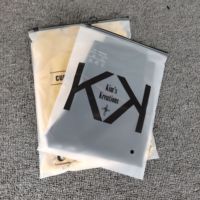 Sac en plastique à fermeture éclair avec logo personnalisé en feuille d'or givrée, sac à fermeture éclair, sac à fermeture éclair