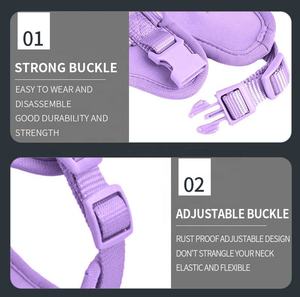 Ensemble de laisse, collier et porte-sac à déjections canines en PVC, personnalisable avec logo, de luxe, anti-traction et imperméable, pour l'entraînement des chiens - Product Image 5