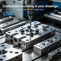 Piezas personalizadas CNC para aspas de impulsor, proceso de control numérico multieje, piezas neumáticas especiales