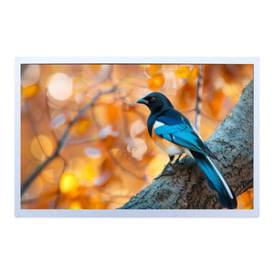 G101ICE-LH1 G101ICE-LH2 G101ICE-LH3 GG101ICE-LM1 หน้าจอ TFT อุตสาหกรรม 10.1 นิ้ว จอแสดงผล LVDS 30 พิน ของแท้ ความละเอียด 1280*800 RGB - Product Image 6