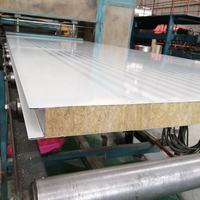 Système ignifuge moderne de polyuréthane de mur de toit Panneaux muraux de salle blanche Laine de roche Eps Pu Pir Panneaux sandwich Matériau métallique