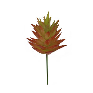 CallaFloral Suculentas Artificiales con Espinas Rojo Otoñal Flor Decorativa de Plástico para Fotografía del Hogar Estilo Ins Transfronterizo - Product Image 5