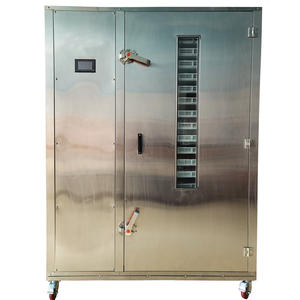 משאבת חום מקצועית מזון סולארי וייבוש ירקות מייבשים מכונת מנגו פירות יבש - Product Image 5