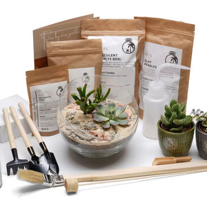 <span class=keywords><strong>Sinaloa</strong></span> ชุดกระถางปลูกต้นไม้ในทะเลทรายระดับพรีเมี่ยมสไตล์คันทรีกระถางปลูกต้นไม้สำหรับตกแต่งสวนในบ้านและสถานรับเลี้ยงเด็กด้วยต้นกระบองเพชร - Product Image 1