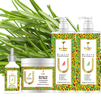 Kit de Croissance Capillaire Biologique en Gros Anti-Chute Solide, Meilleur Shampoing et Après-Shampoing Naturel au Vieux Gingembre Royal pour la Pousse des Cheveux