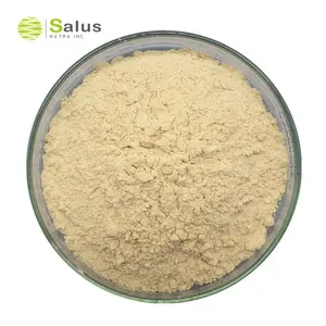 Hot Selling American Ginseng Root Extract 1% 10%