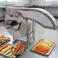 Commerciële machine voor het snijden en in reepjes snijden van fruit, groenten, aardappelen, radijsjes en wortelen voor voedselverwerkende bedrijven