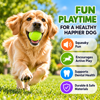 Jouet de balle de tennis couineur pour chien, pour le nettoyage des dents, rebondissant et interactif, jouet à mâcher d'entraînement pour chiens de petite, moyenne et grande taille