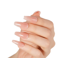 Gel d'extension de constructeur de 40 couleurs Ice Nova indolore nu marque privée personnaliser pour le magasin de salon de manucure constructeur de couleur d'ongle naturel