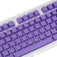 Custom Colorful Double Shot ABS Light Through Key Caps Keycaps for Mechanical Keyboard
