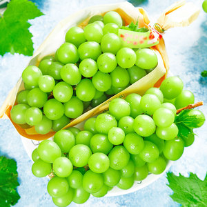 Ánh nắng mặt trời tăng không hạt chất lượng cao tươi bảng nho màu xanh lá cây và trắng ngọt ngào và không hạt bán buôn - Product Image 3
