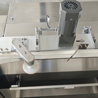 Machine d'emballage automatique de gaufrettes en forme de coussin, certifiée CE, avec moteur servo avancé